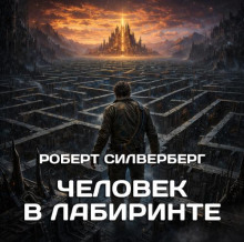 Человек в лабиринте