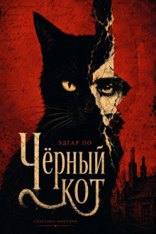 Черный кот