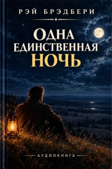 Одна единственная ночь