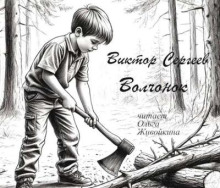 Волчонок