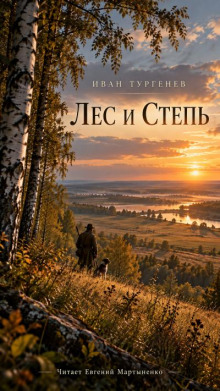 Лес и степь