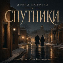 Спутники
