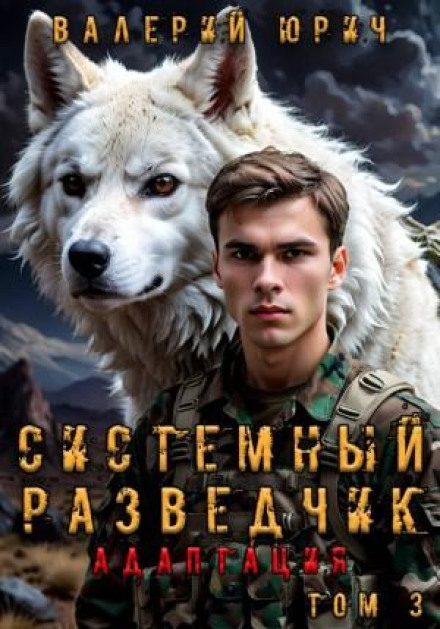 Системный разведчик. Адаптация. Том 3