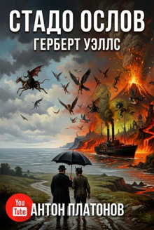 Стадо ослов