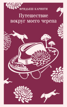 Путешествие вокруг моего черепа
