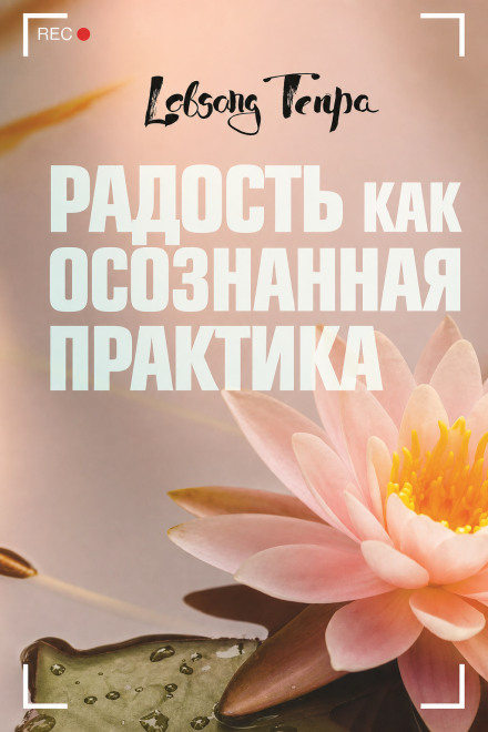 Joy as a Mindful Practice