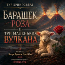 Барашек, роза и три маленьких вулкана