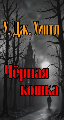 Чёрная кошка